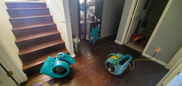  De Witt, NY Water damage restoration Pros