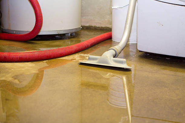 Best Water damage restoration cost  in De Witt, NY