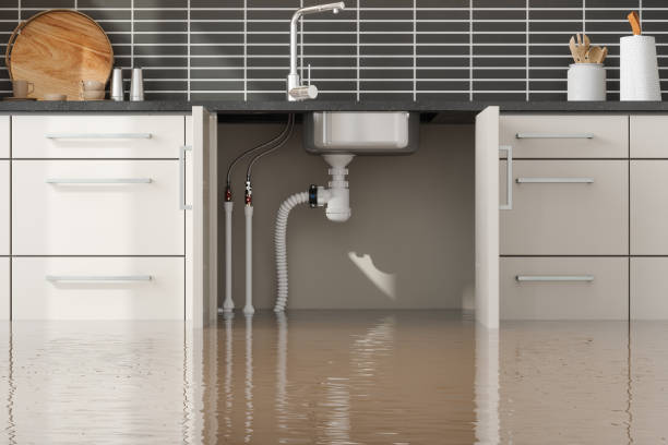 Reliable De Witt, NY Water damage restoration Solutions
